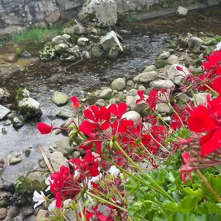 Luksusowy Joker 2 斯克拉斯卡波伦巴