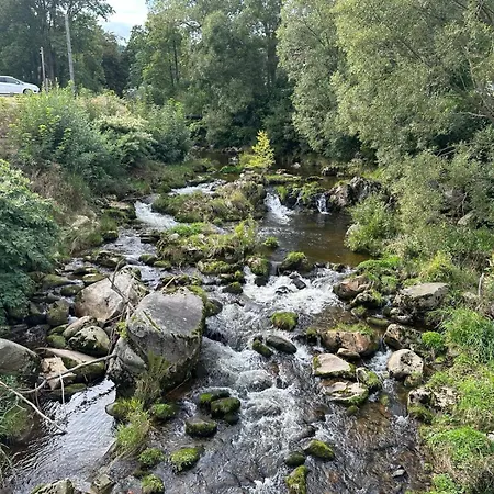 Luksusowy Joker 2 斯克拉斯卡波伦巴