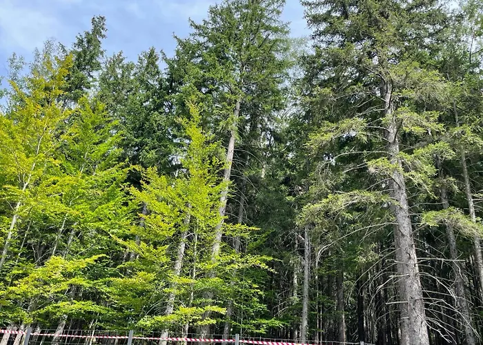 Luksusowy Joker 2 * Szklarska Poręba