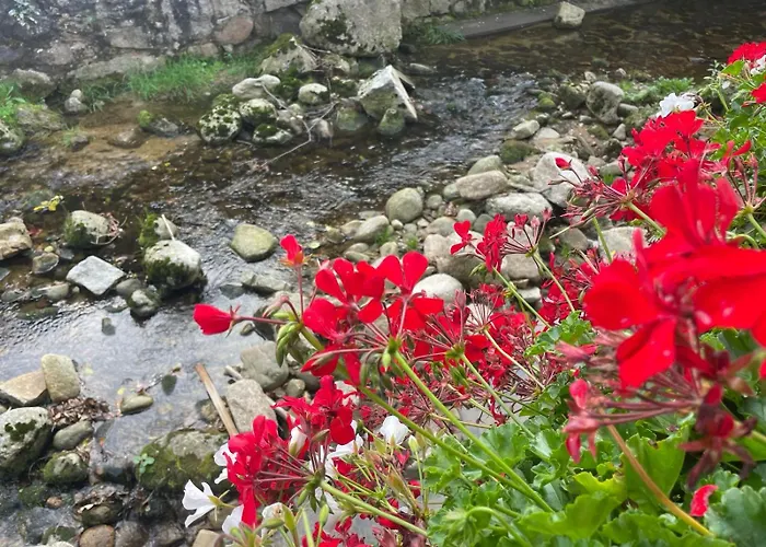 Luksusowy Joker 2 Szklarska Poręba